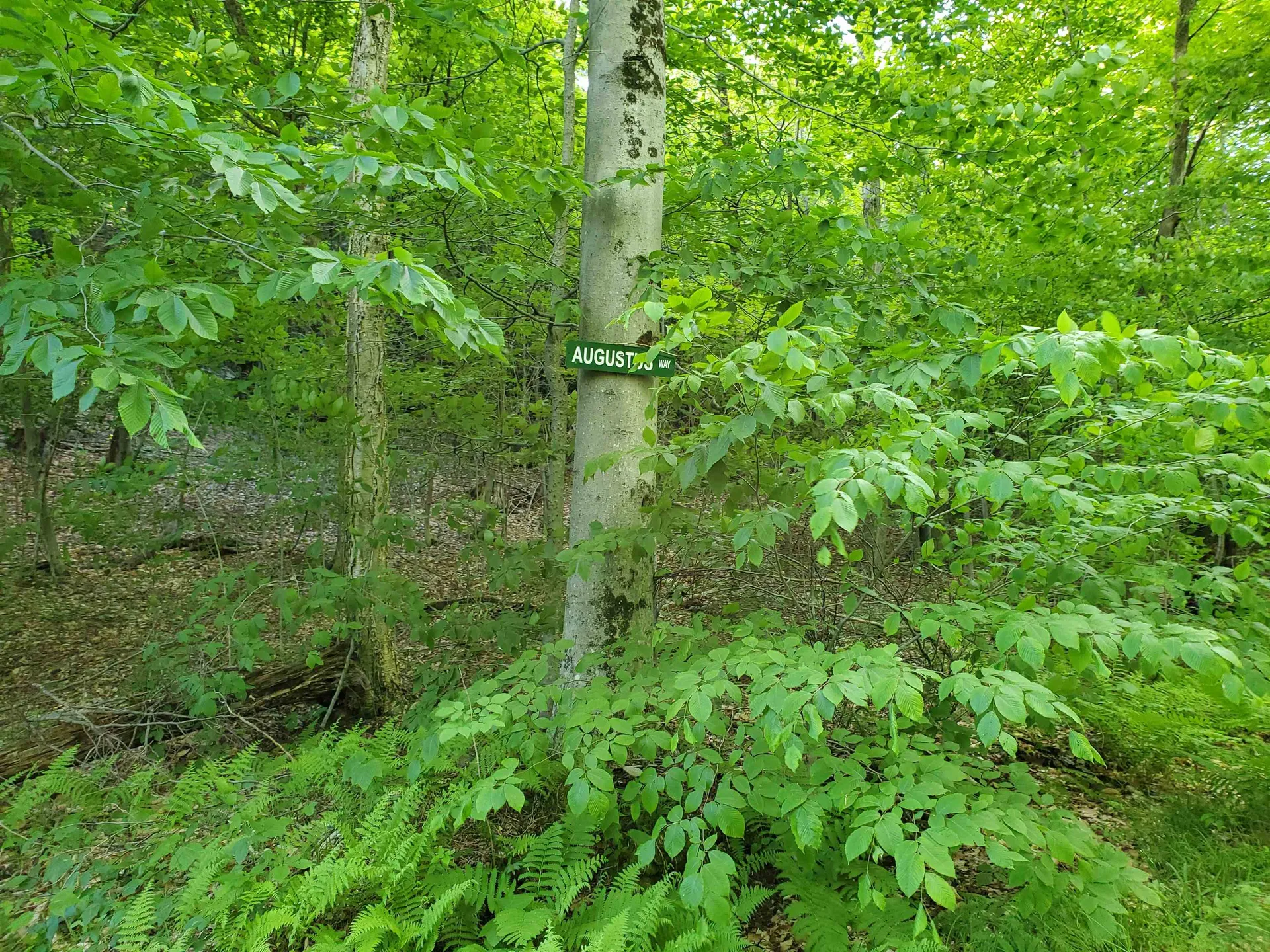 141 Stage Road Chester VT 05143
