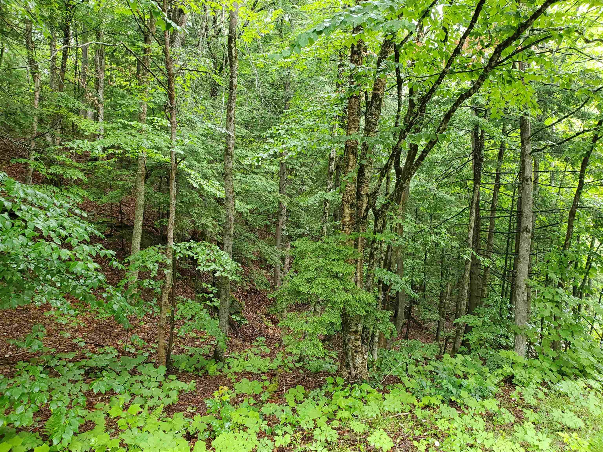 141 Stage Road Chester VT 05143