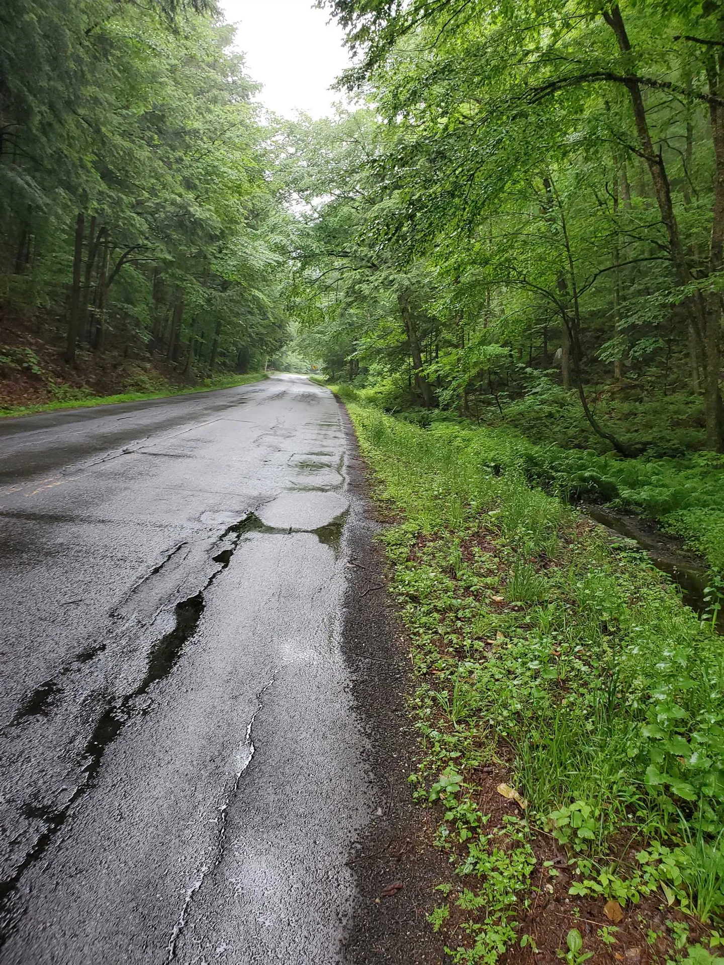 141 Stage Road Chester VT 05143