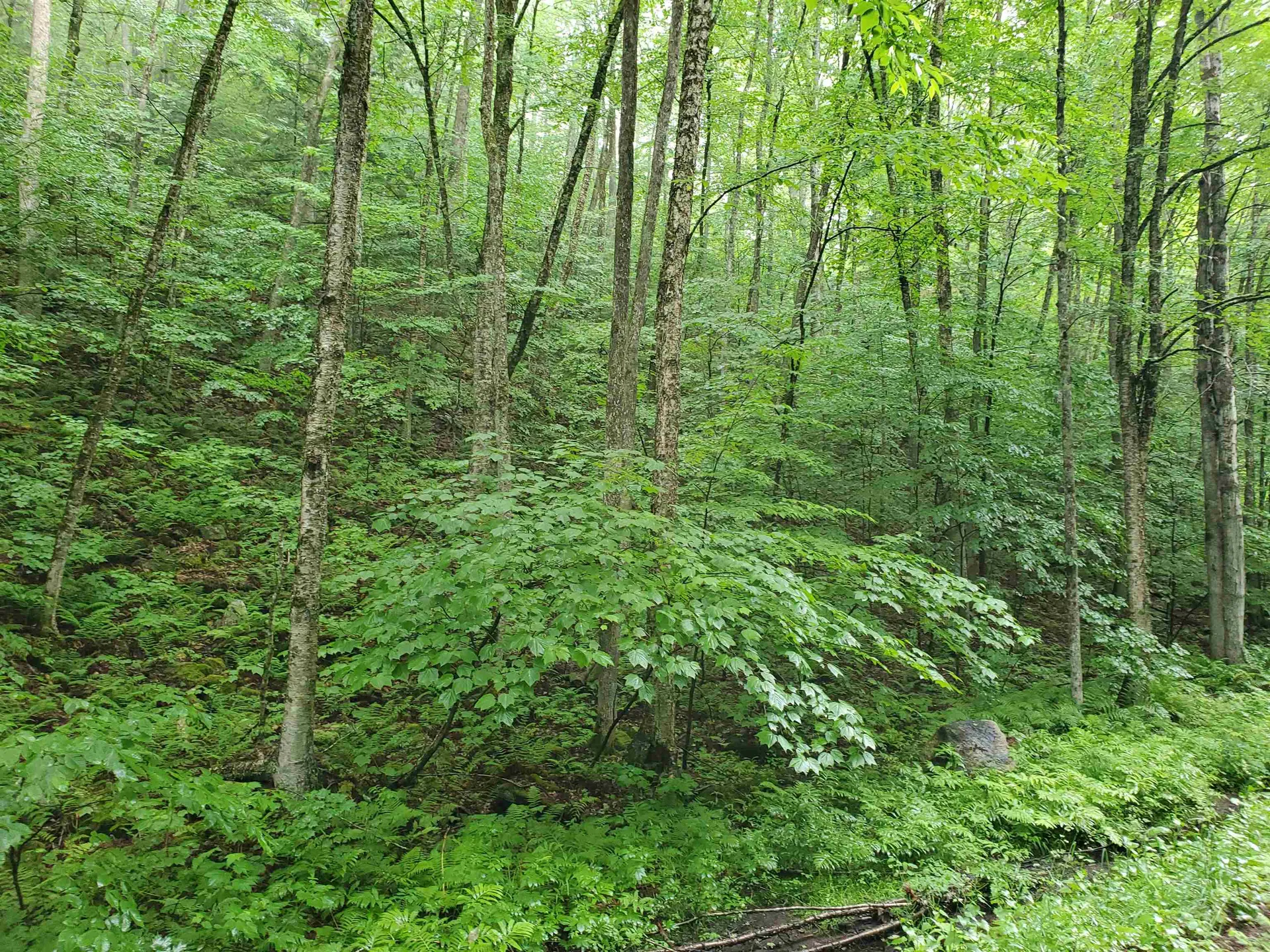 141 Stage Road Chester VT 05143