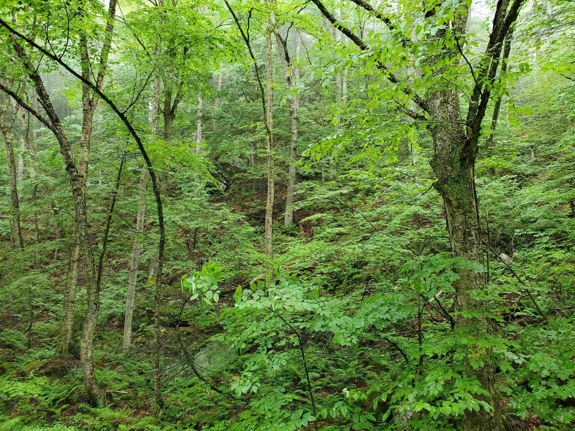 141 Stage Road Chester VT 05143