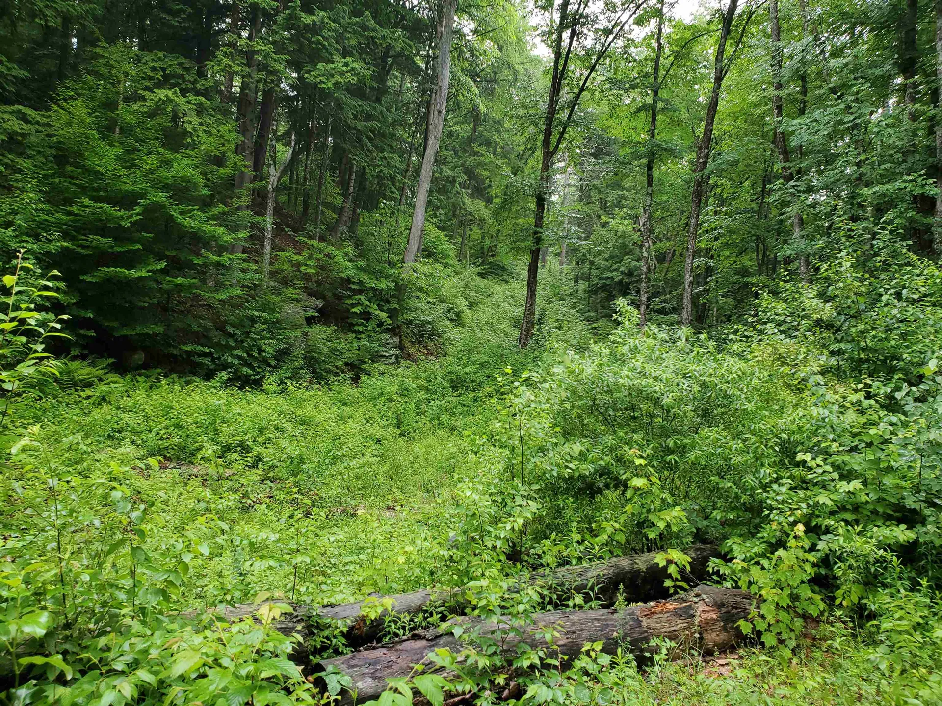 141 Stage Road Chester VT 05143