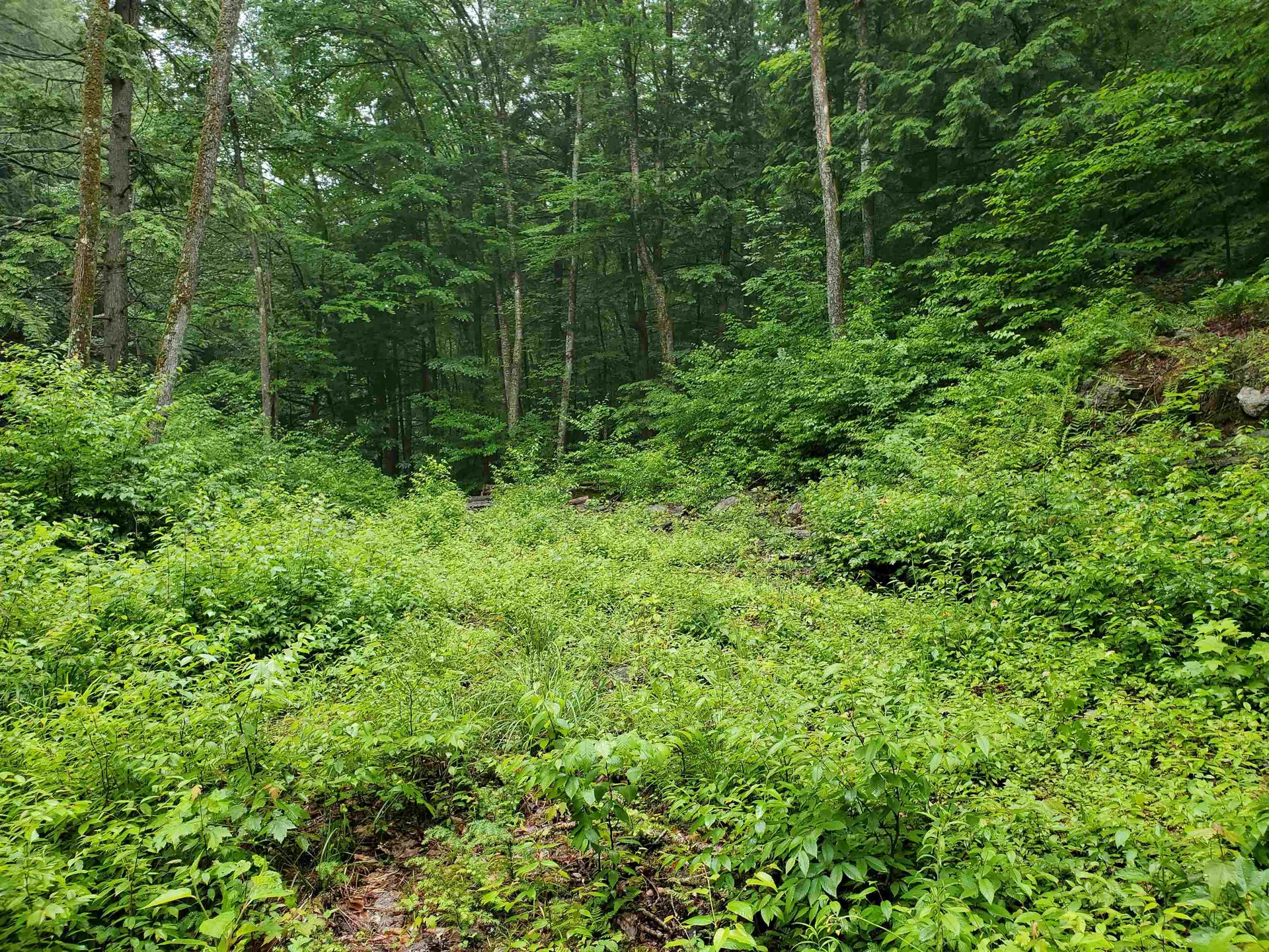 141 Stage Road Chester VT 05143