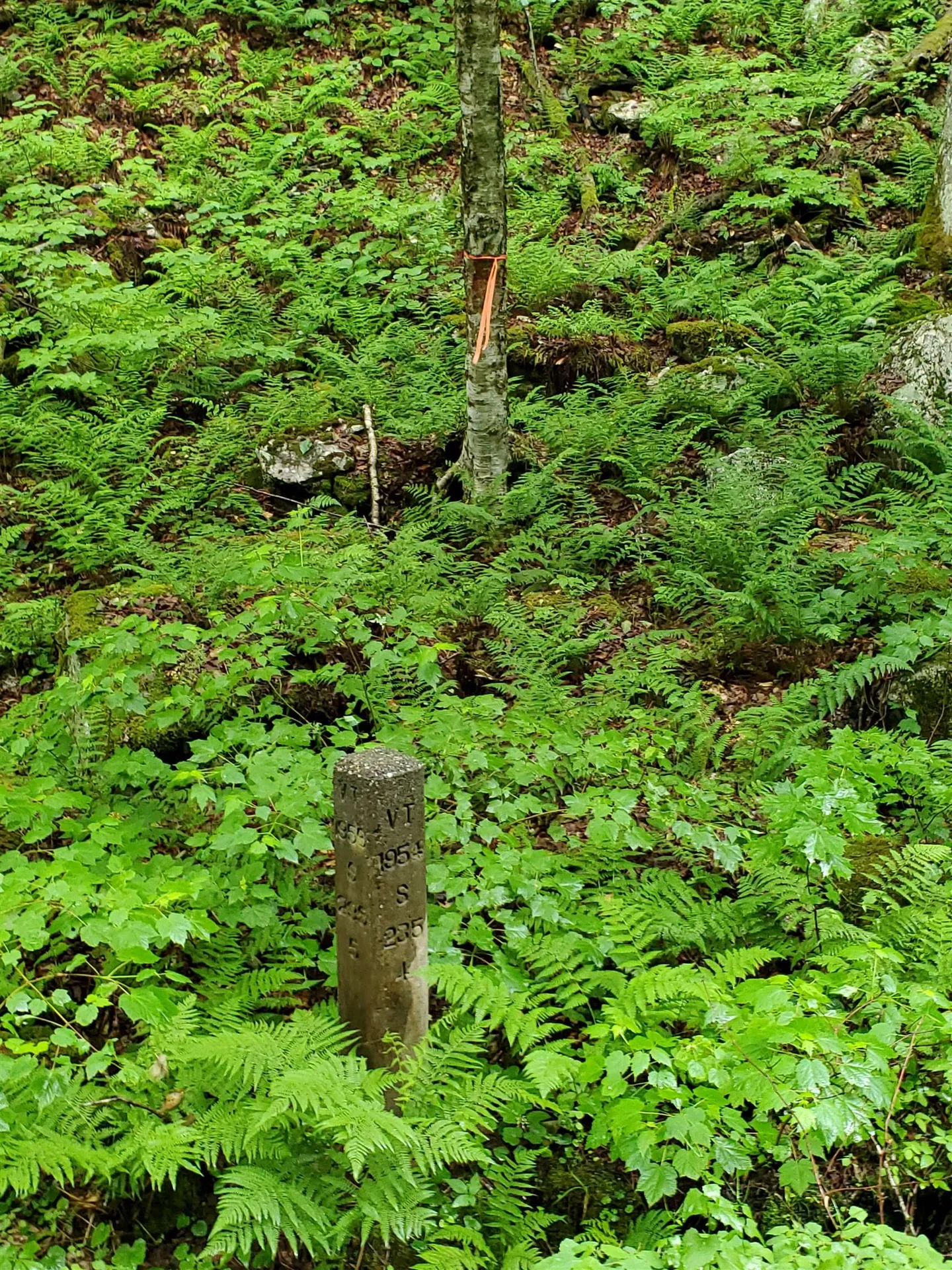 141 Stage Road Chester VT 05143