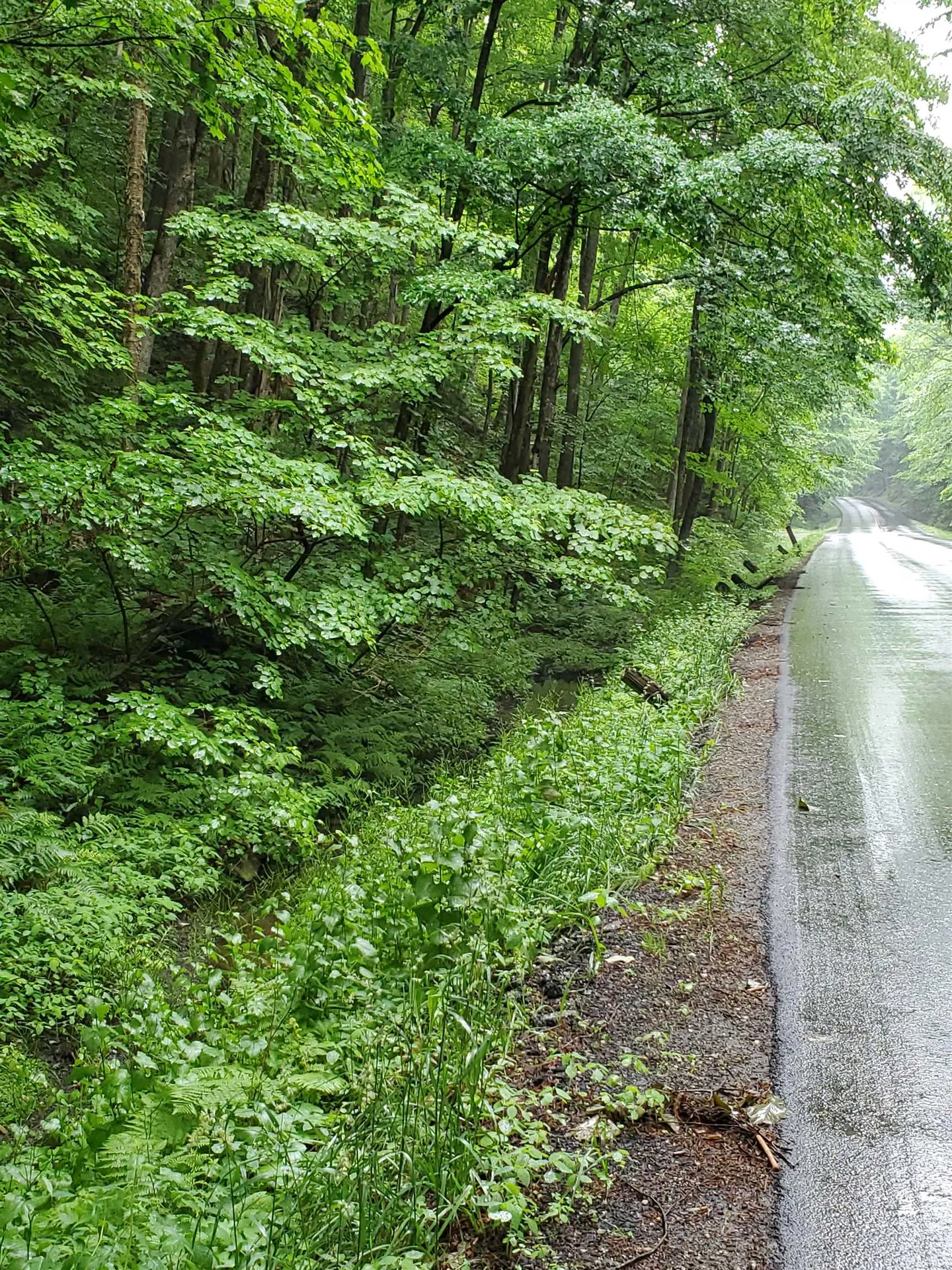 141 Stage Road Chester VT 05143