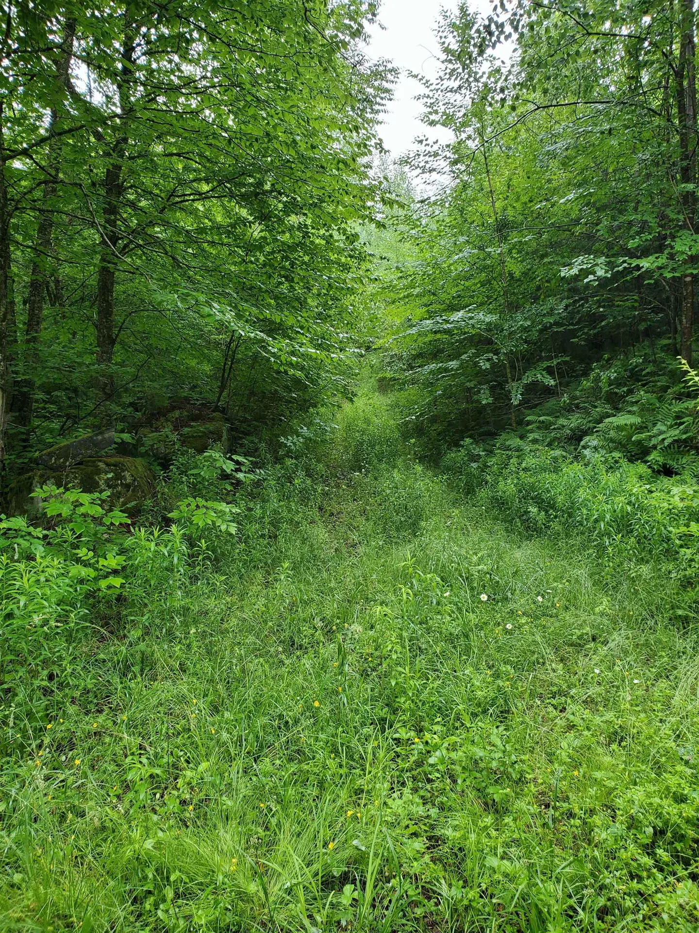 141 Stage Road Chester VT 05143