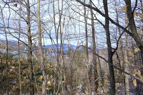 0 High Ridge Road Cavendish VT 05142