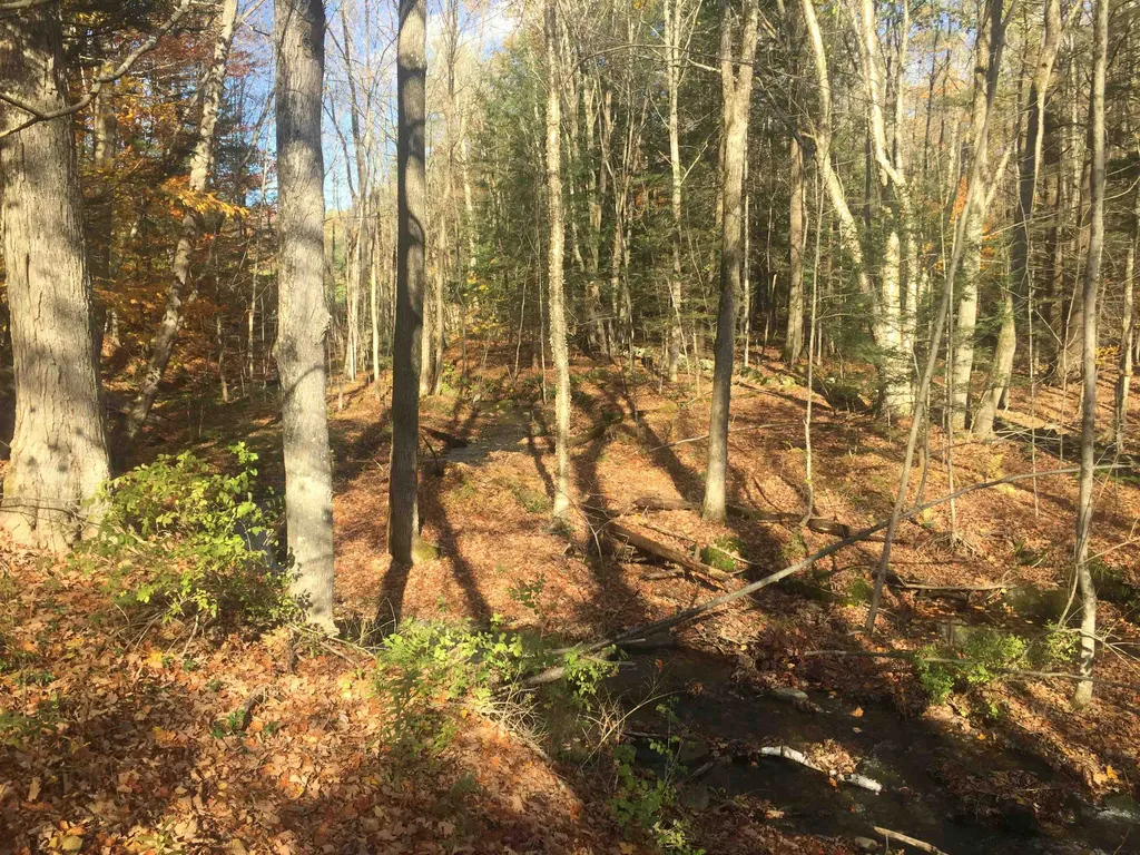 128 Paget Road Cornish NH 03745