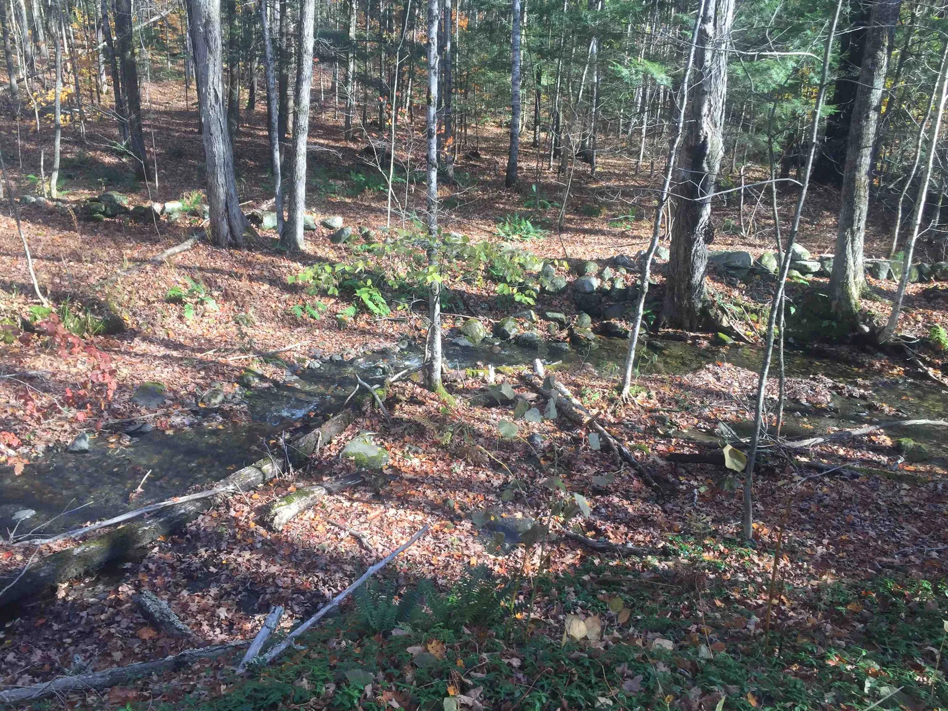 128 Paget Road Cornish NH 03745