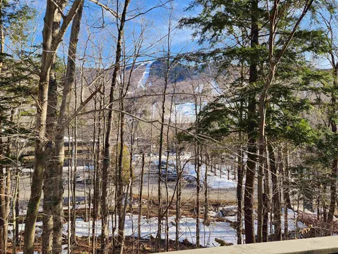 32 Fox Run Road Lincoln NH 03251