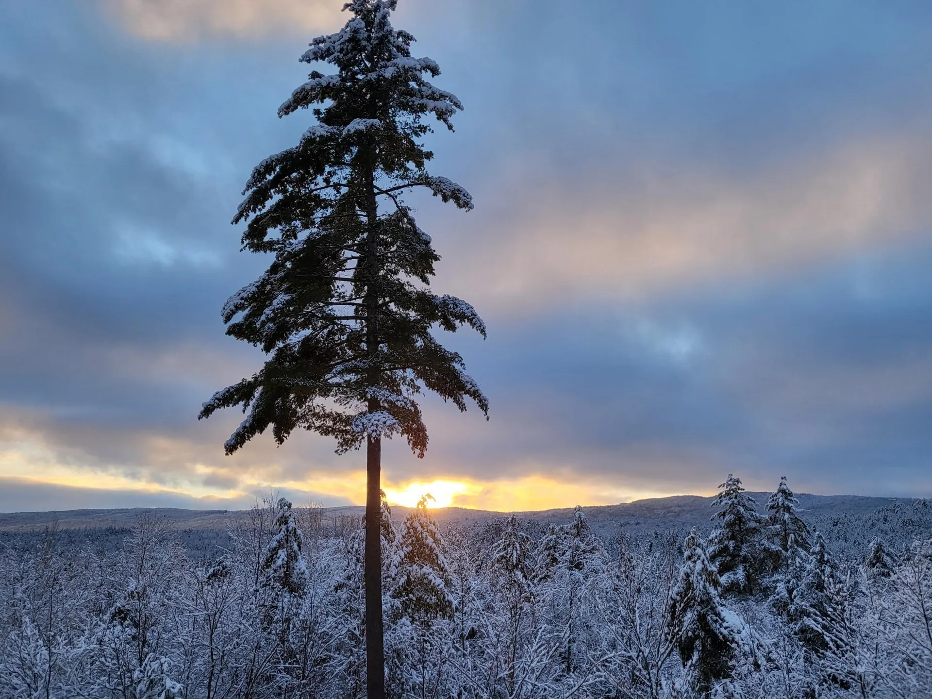 14 Adams Hill Road Newfane VT 05345