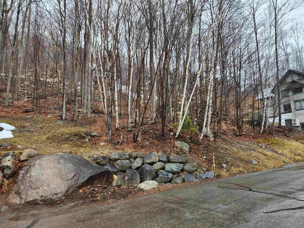 50A & 50b Westview Road Lincoln NH 03251
