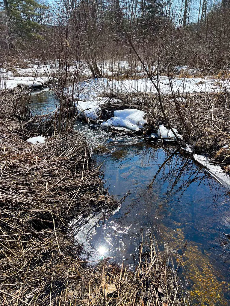 2100 Brushwood Road Haverhill NH 03780