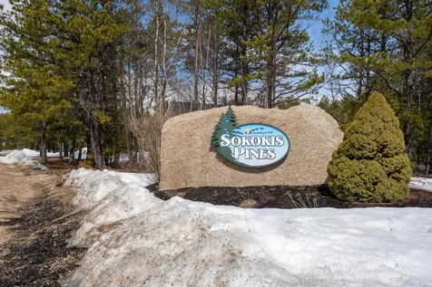 228 Silver Pine Lane Tamworth NH 03886