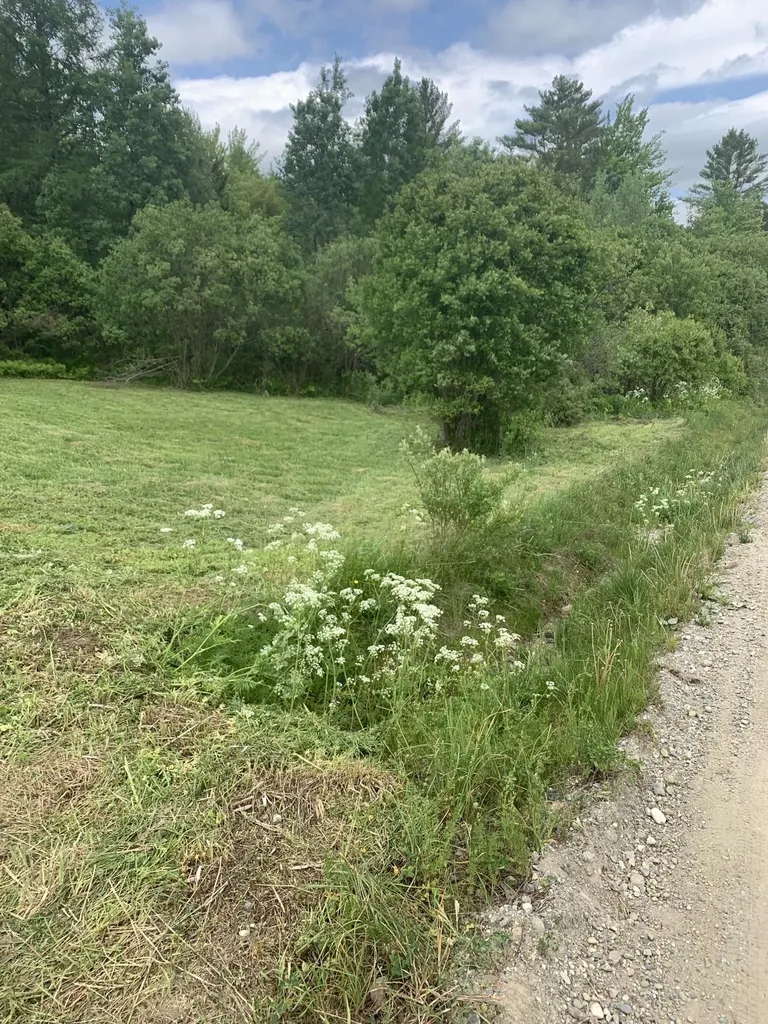1591 Ober Hill Road Johnson VT 05656