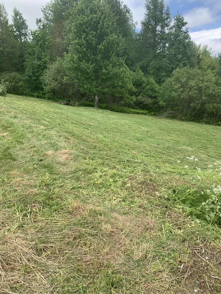 1591 Ober Hill Road Johnson VT 05656