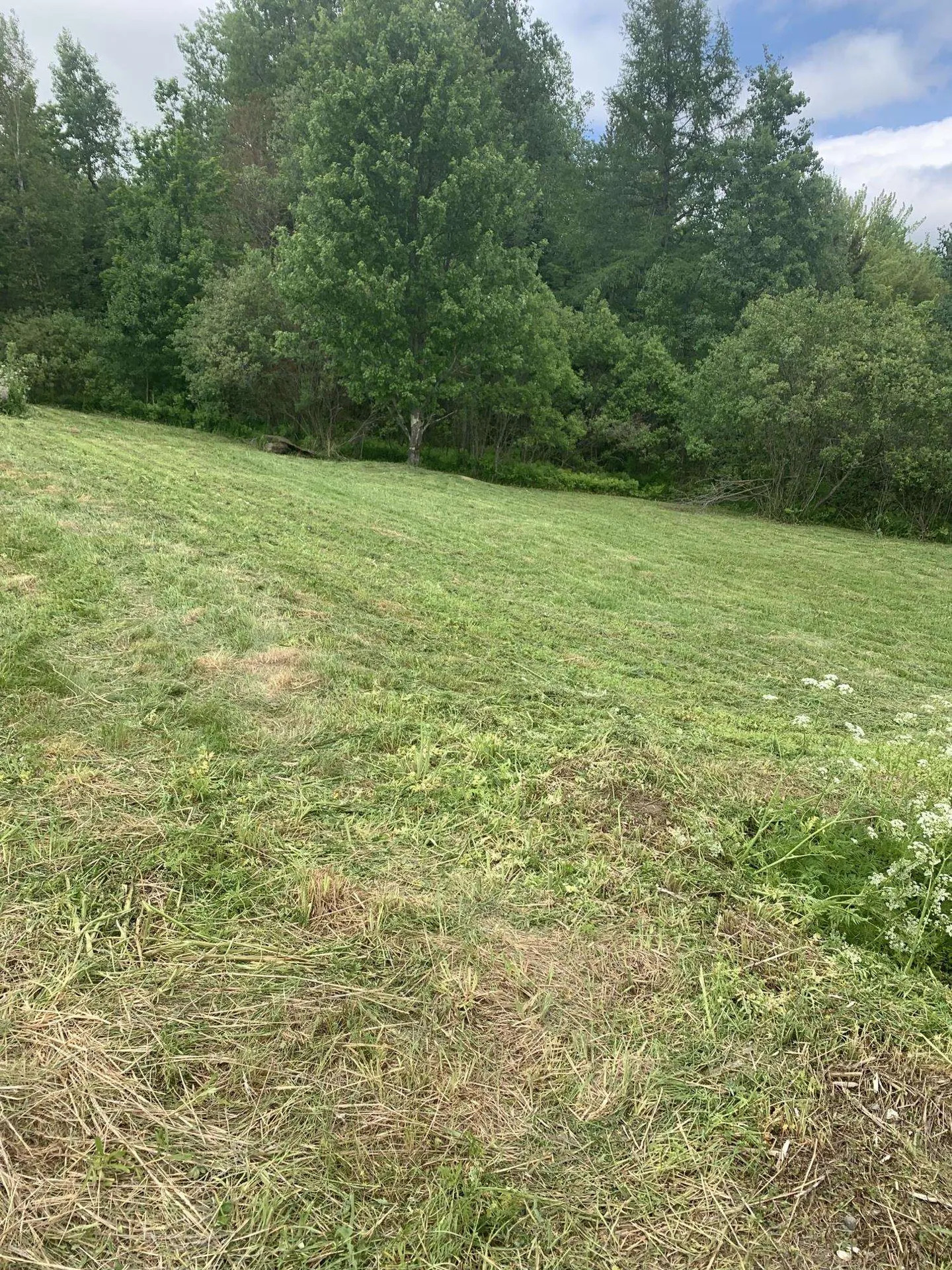 1591 Ober Hill Road Johnson VT 05656
