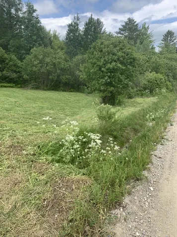 1591 Ober Hill Road Johnson VT 05656