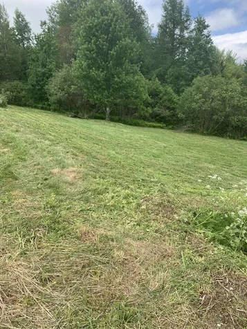 1591 Ober Hill Road Johnson VT 05656