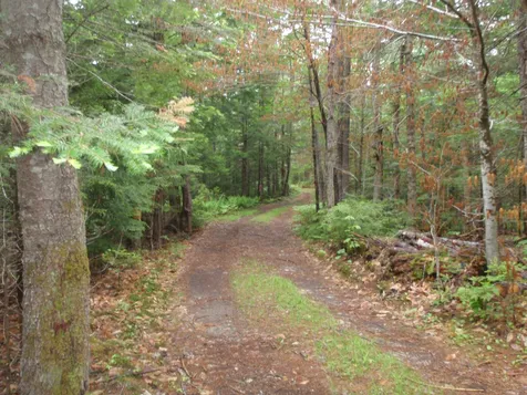 0 Island Road Grafton NH 03240