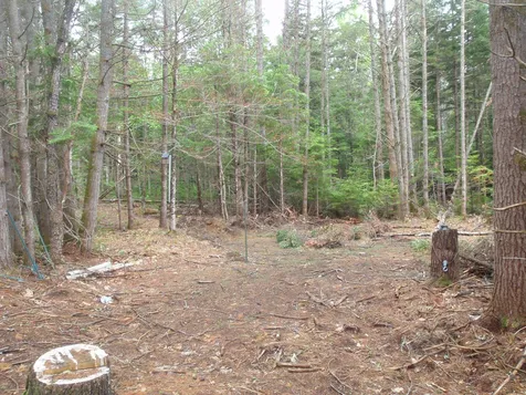 0 Island Road Grafton NH 03240