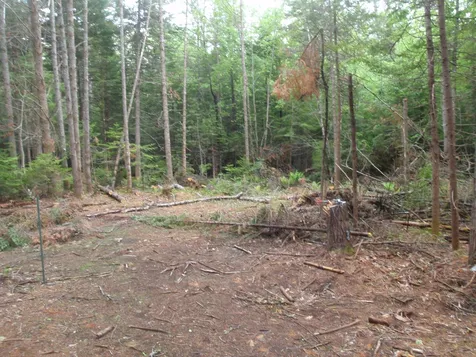 0 Island Road Grafton NH 03240