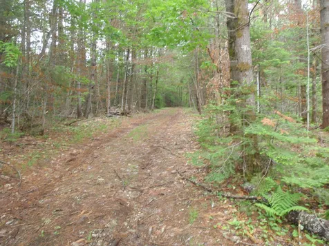 0 Island Road Grafton NH 03240