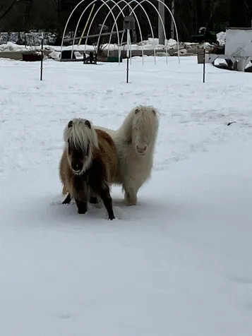 0 Island Road Grafton NH 03240