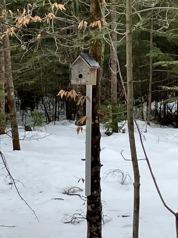 0 Island Road Grafton NH 03240