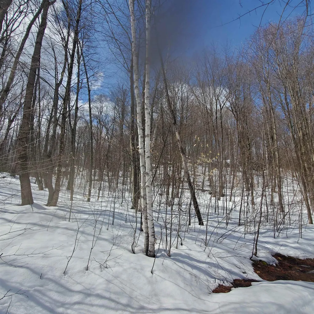 479 Wright Orchard Road Grafton VT 05146