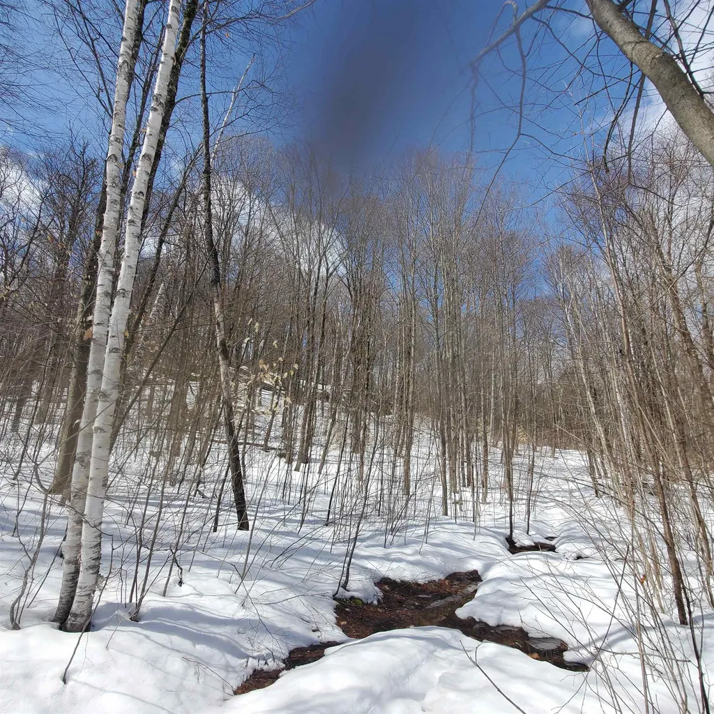 479 Wright Orchard Road Grafton VT 05146