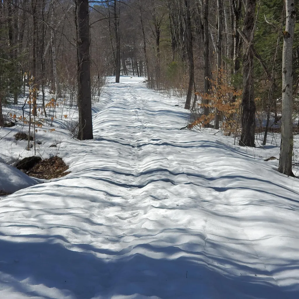479 Wright Orchard Road Grafton VT 05146