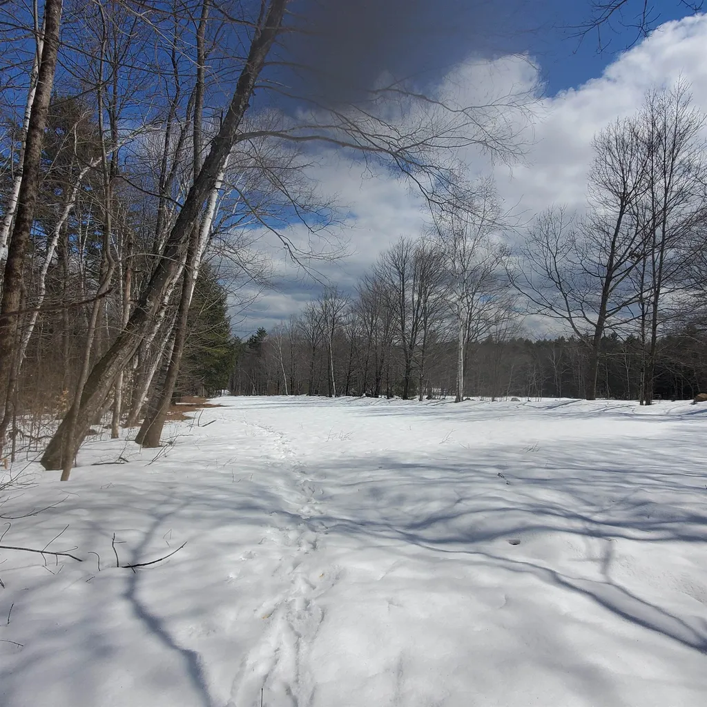 479 Wright Orchard Road Grafton VT 05146