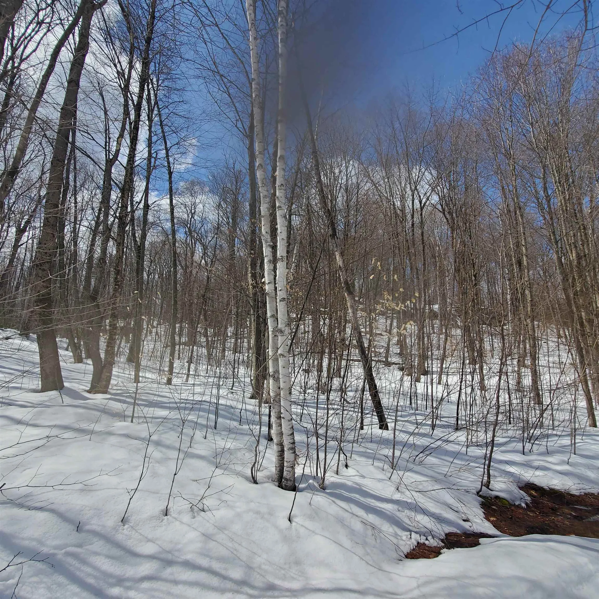 479 Wright Orchard Road Grafton VT 05146