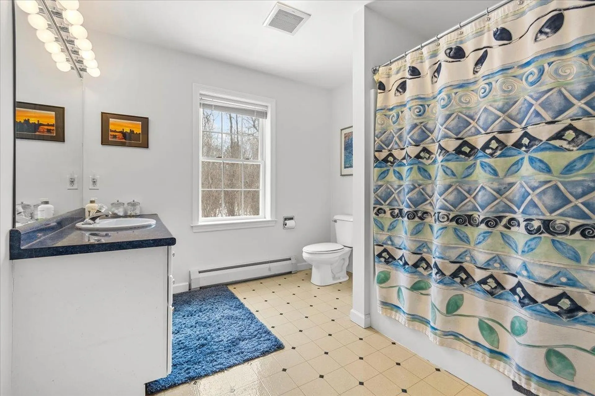 150 Stonegate Lane Shelburne VT 05482