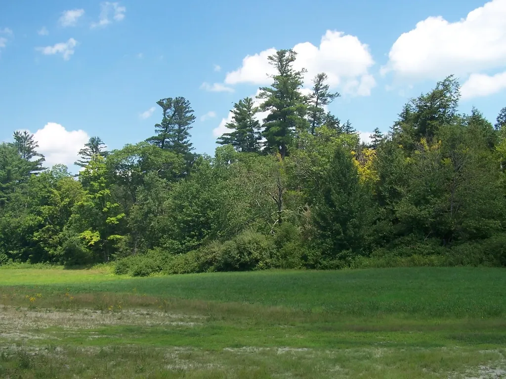 19A Center Road Bradford NH 03221