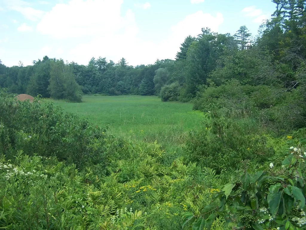 19A Center Road Bradford NH 03221