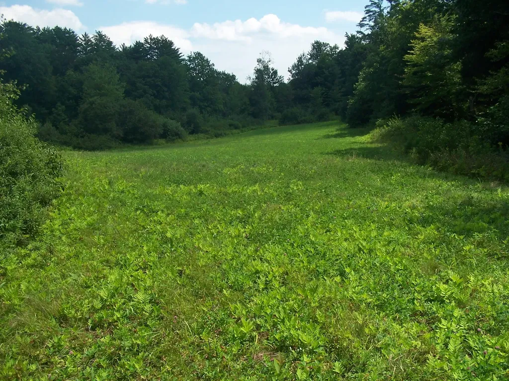 19A Center Road Bradford NH 03221