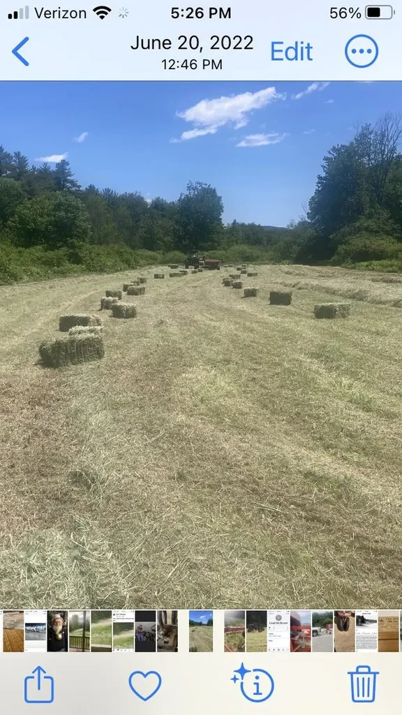 19A Center Road Bradford NH 03221