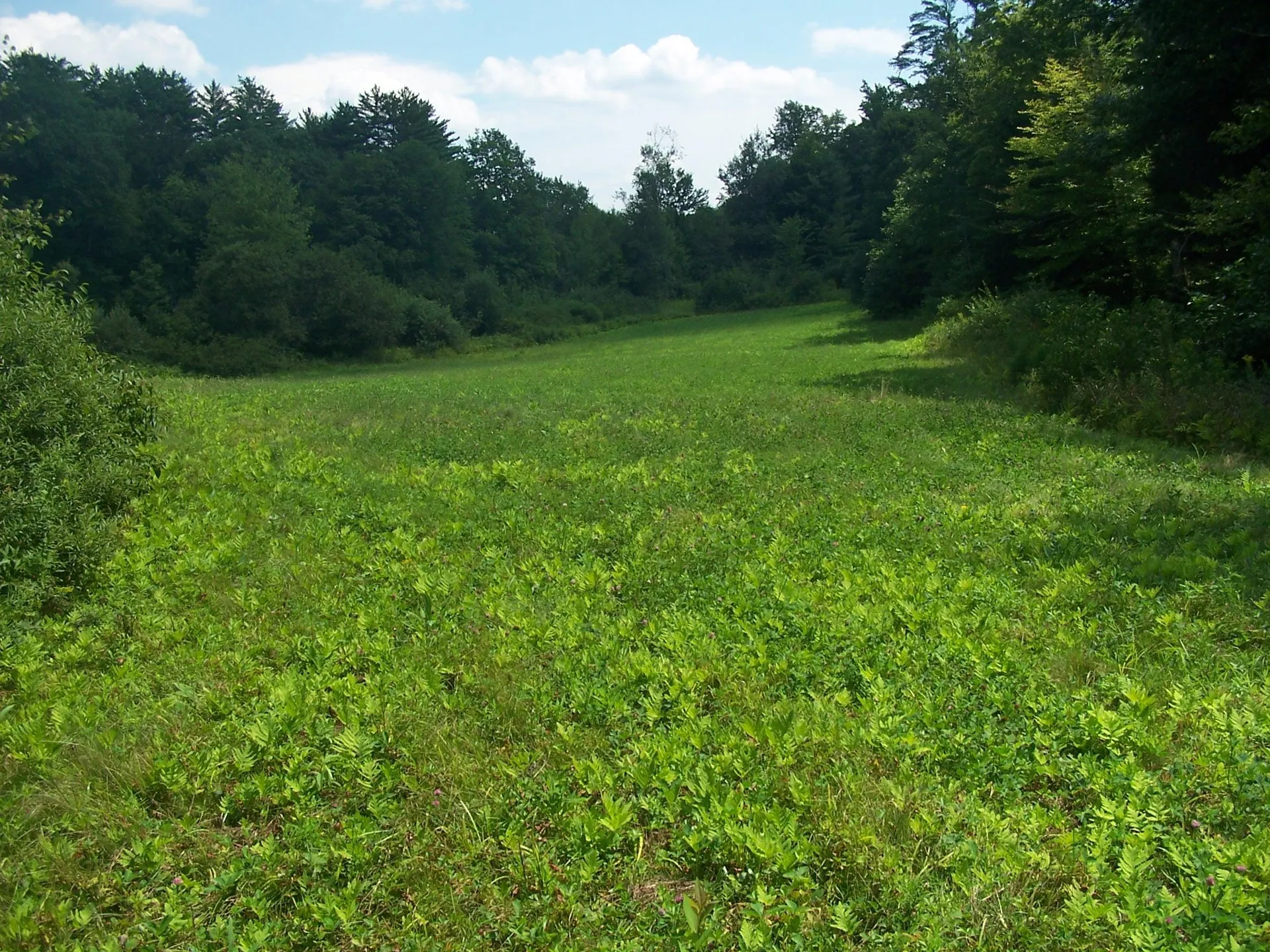 19A Center Road Bradford NH 03221