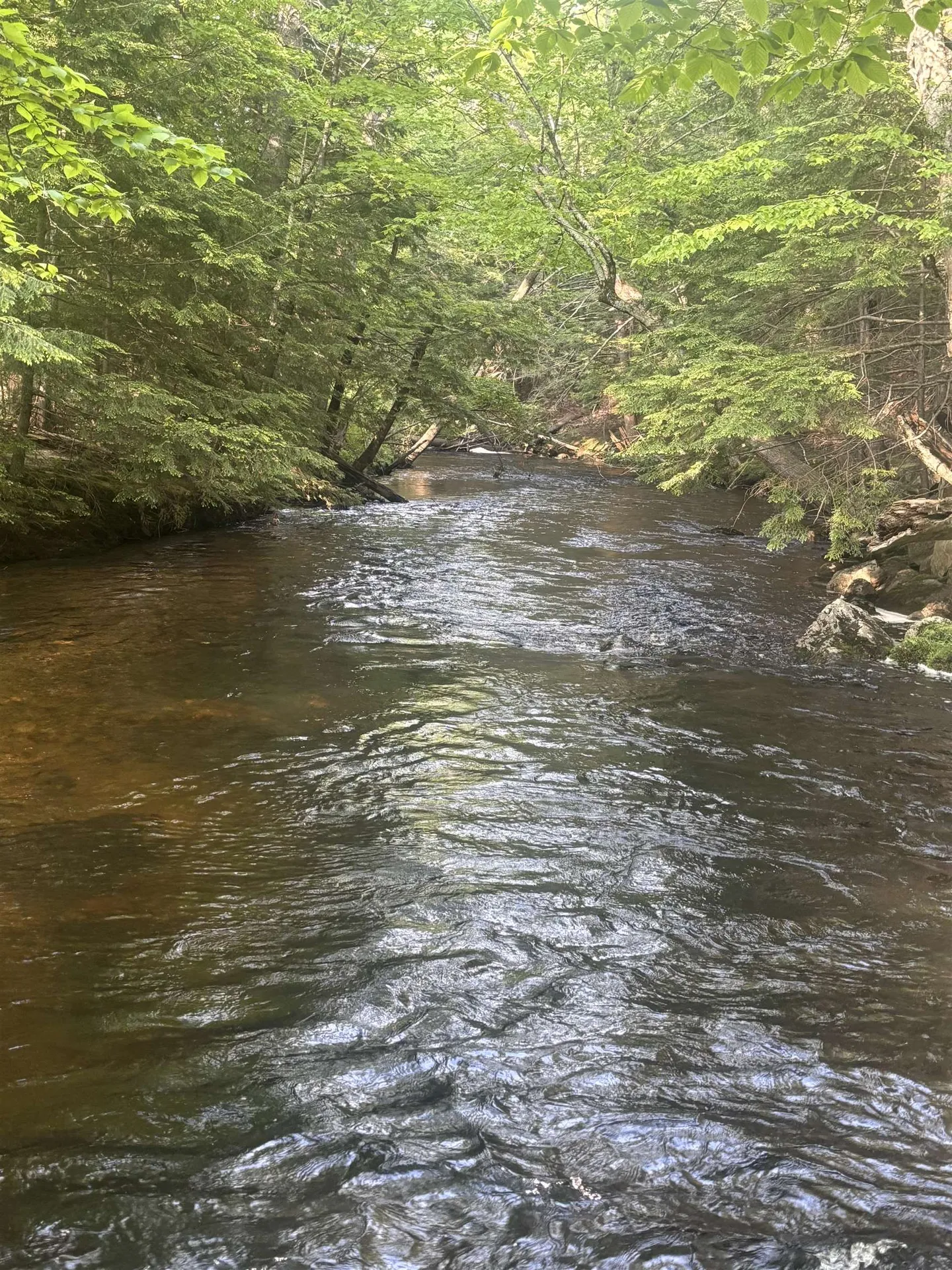 19A Center Road Bradford NH 03221