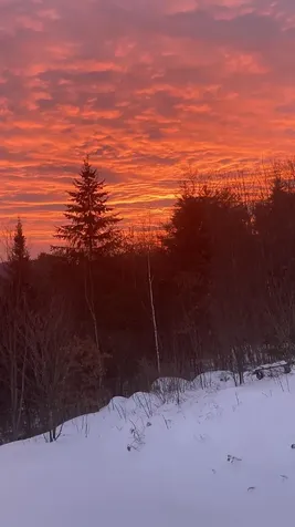 19A Center Road Bradford NH 03221