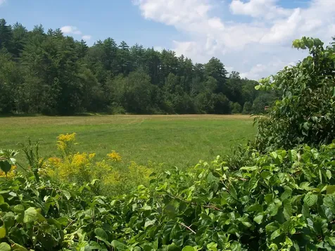 19a Center Road Bradford NH 03221