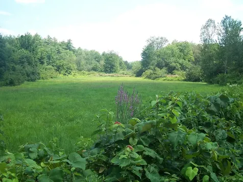 19A Center Road Bradford NH 03221