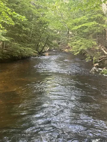 19A Center Road Bradford NH 03221