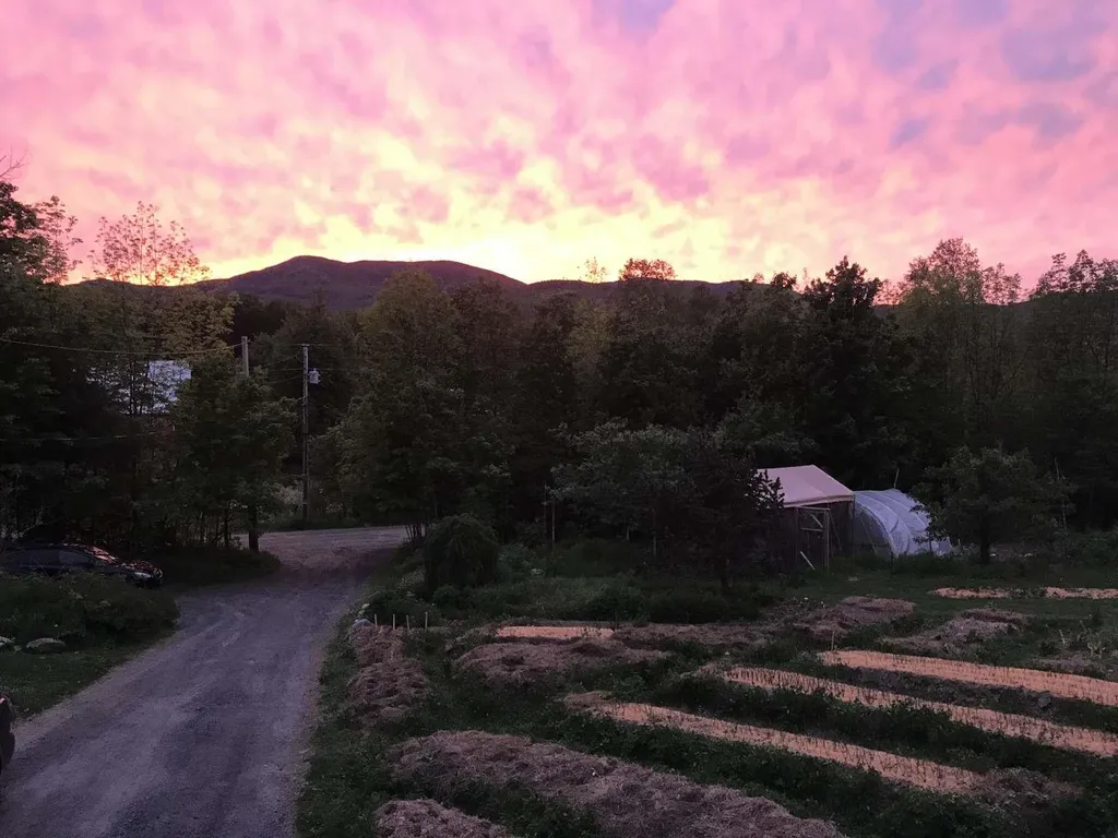 356 West Hill Road Worcester VT 05682