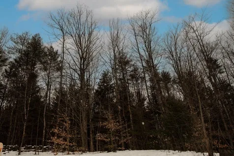723 Chandler Road Chester VT 05143