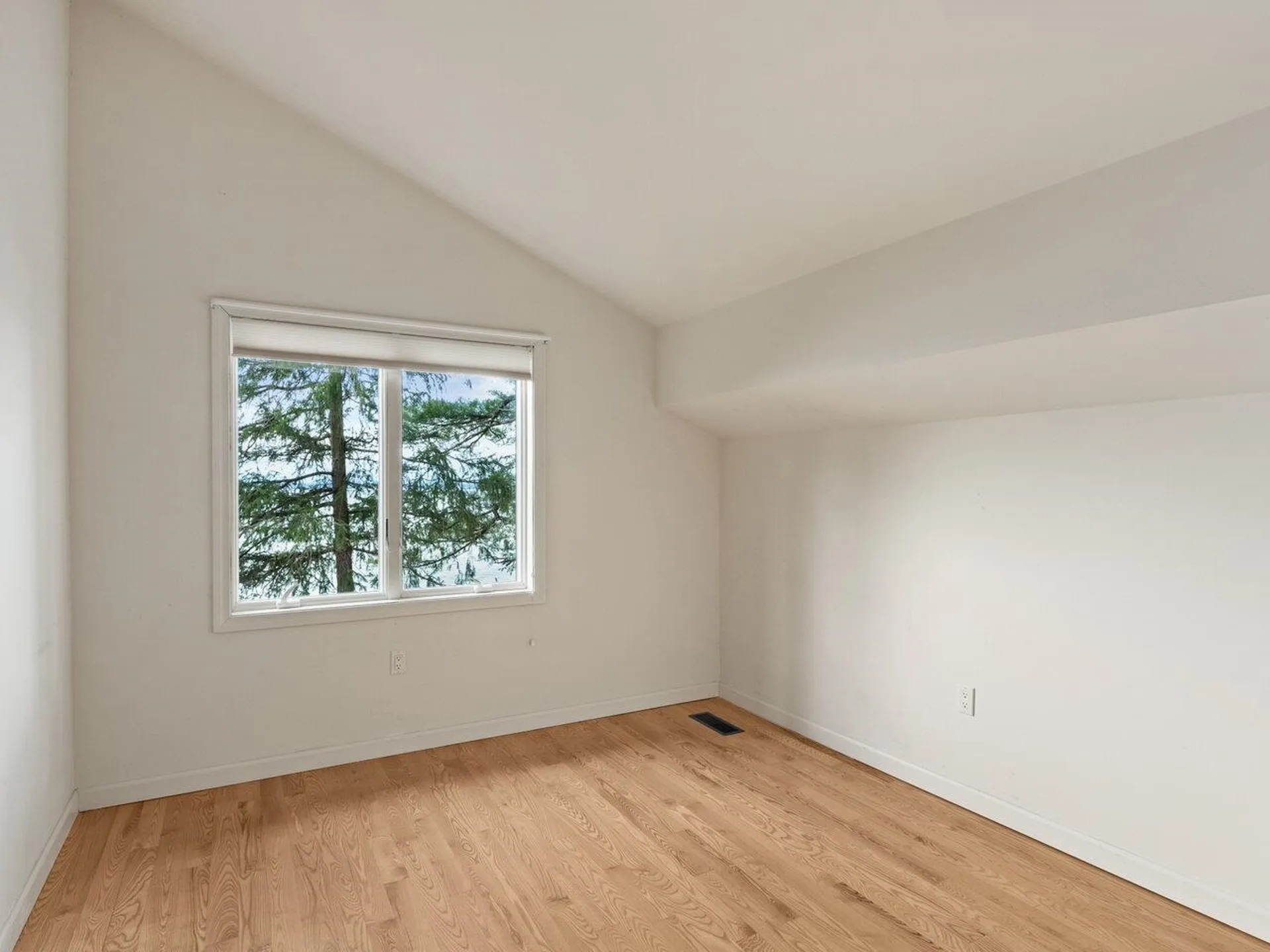 206 West Red Rock Road Colchester VT 05446