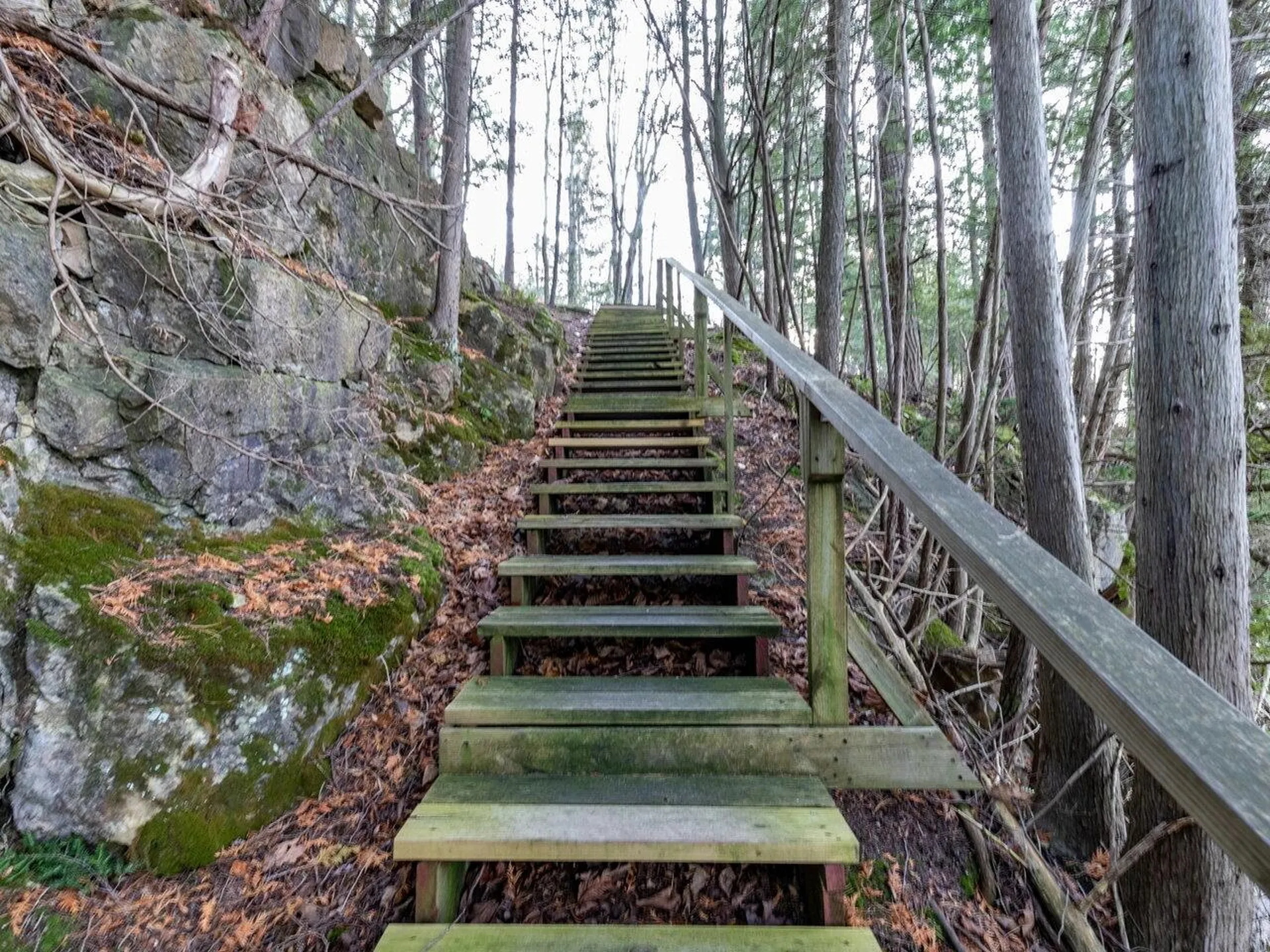 206 West Red Rock Road Colchester VT 05446