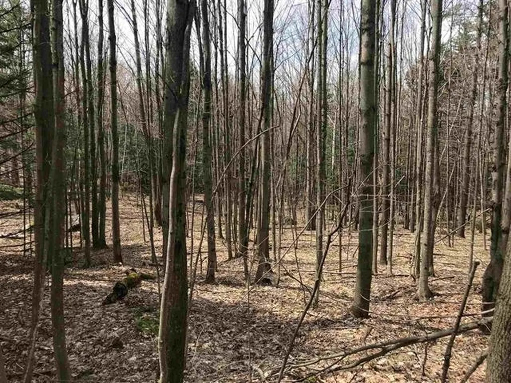00 Belle Vista Road Jay VT 05859